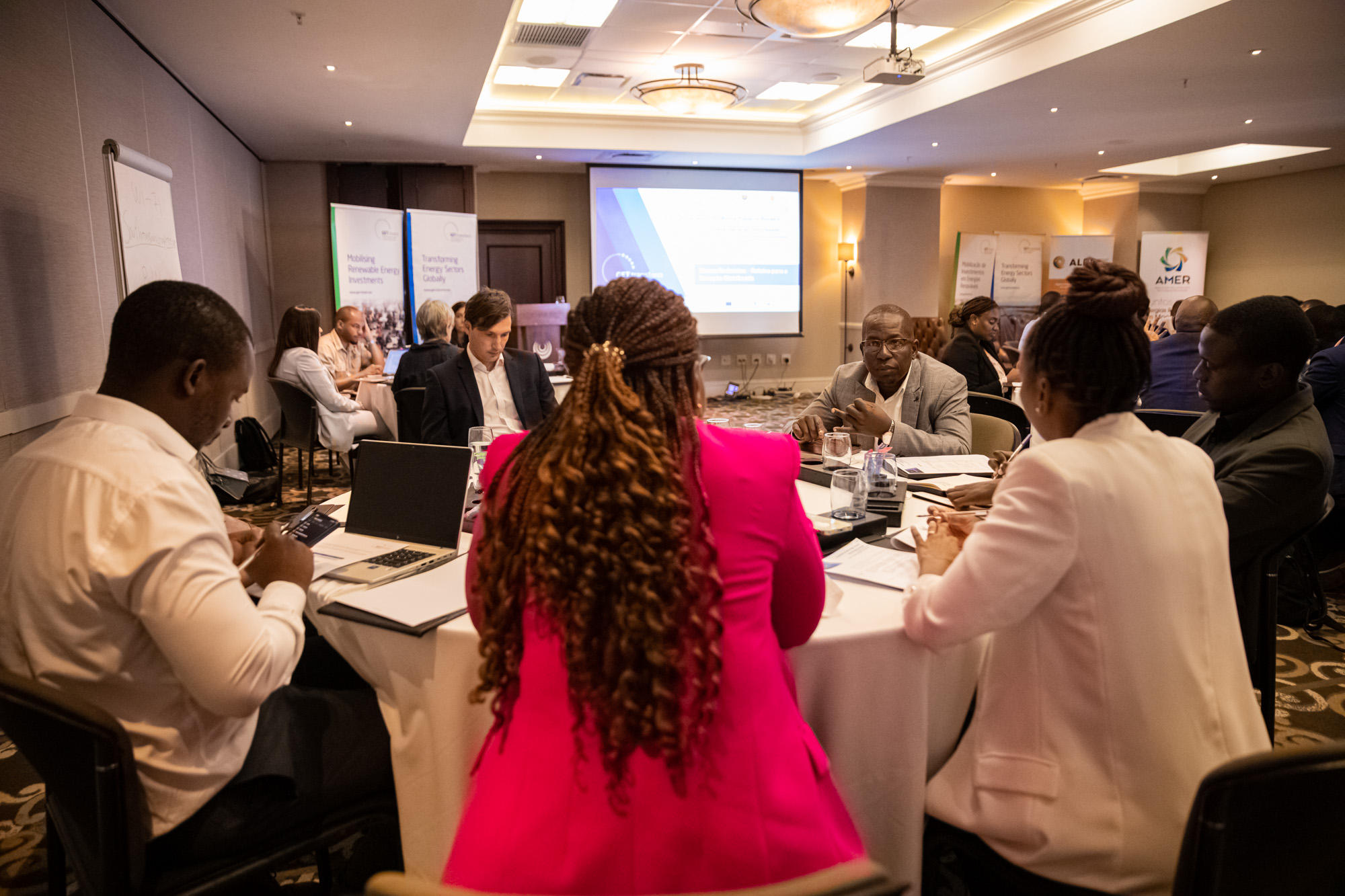 Participants at the "Scaling Distributed Generation in Mozambique" event by GET.transform in partnership with ALER and AMER.